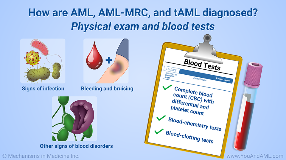 How are AML, AML-MRC, and tAML diagnosed? Physical exam and blood tests