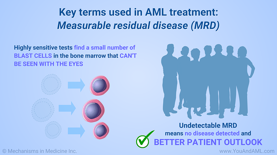 Key terms used in AML treatment: Measurable residual disease (MRD)
