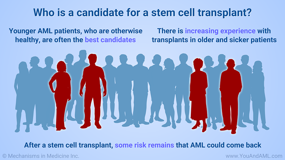 Who is a candidate for a stem cell transplant?