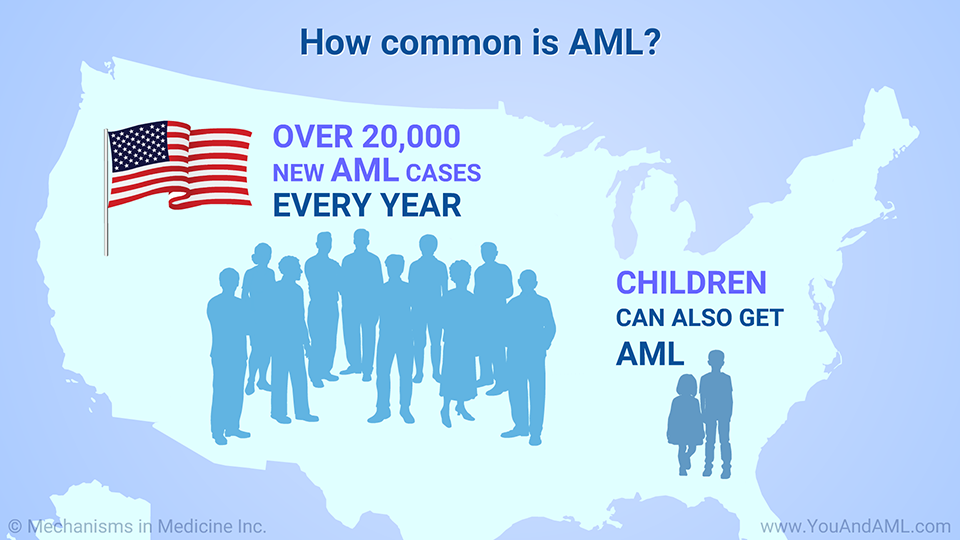 How common is AML?