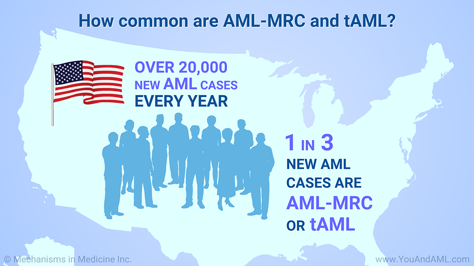 How common are AML-MRC and tAML?