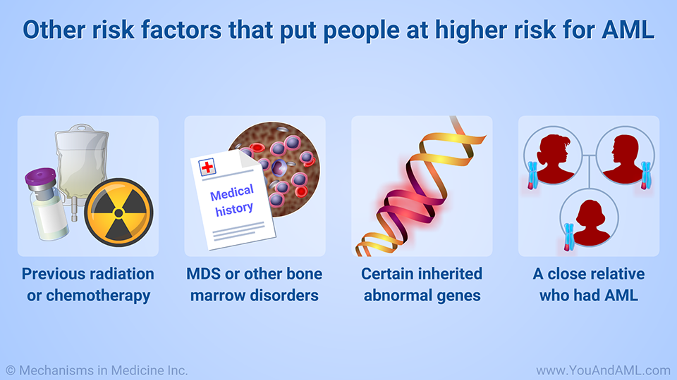 Other risk factors that put people at higher risk for AML
