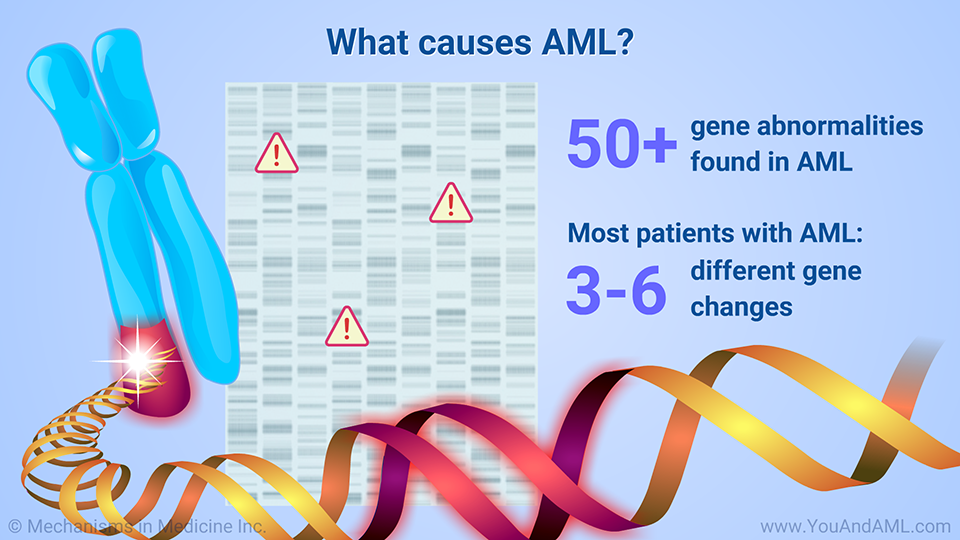 What causes AML? (Continued)